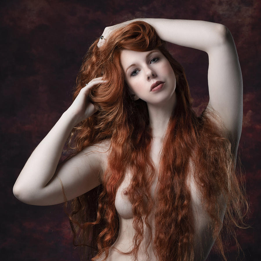 Ginger And Porcelain Photograph by Jan Slotboom