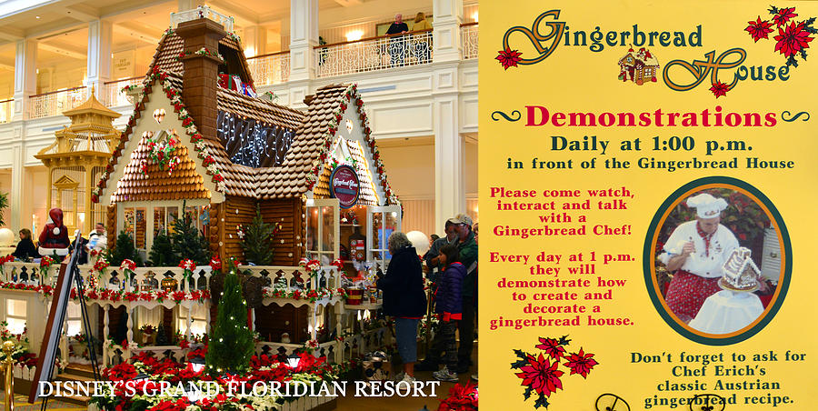 Gingerbread House Grand Floridian Photograph by David Lee Thompson