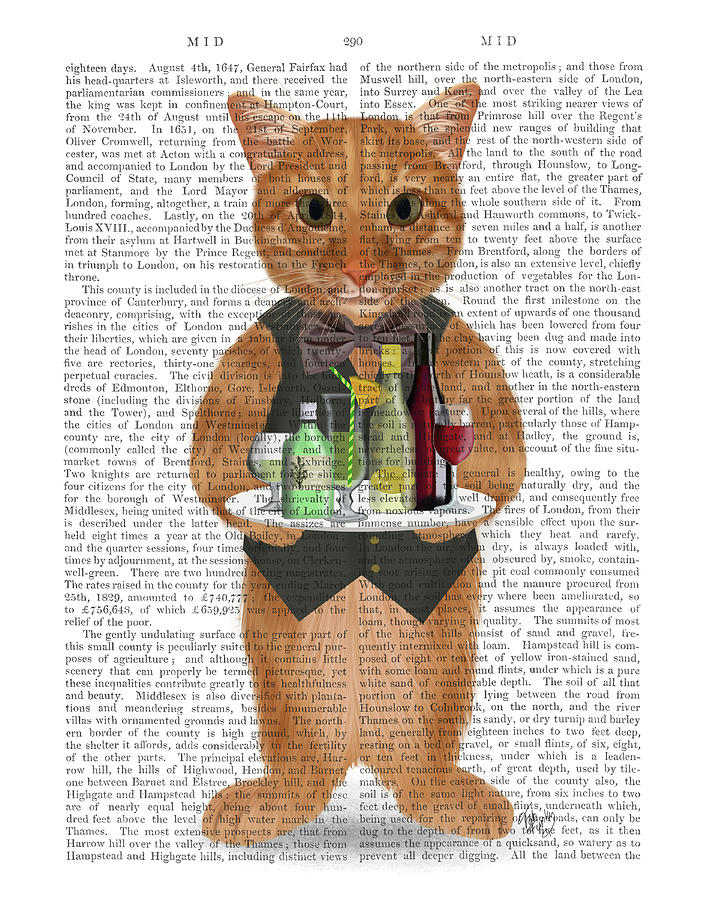 Cat Painting - Ginger Cat Cocktails Book Print by Fab Funky