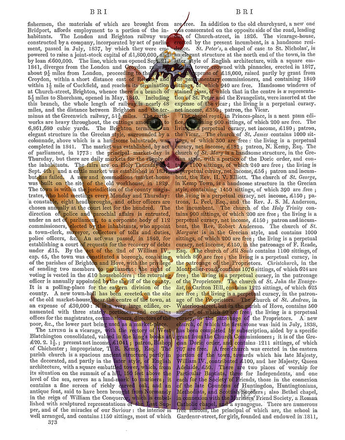 Cat Painting - Ginger Cat Cupcake Book Print by Fab Funky