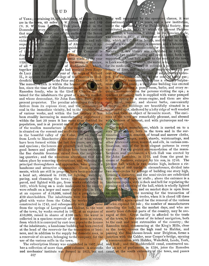 Cat Painting - Ginger Cat Fish Chef, Full Book Print by Fab Funky