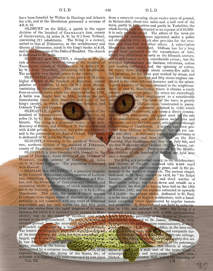 Cat Painting - Ginger Cat Fish Dinner Book Print by Fab Funky
