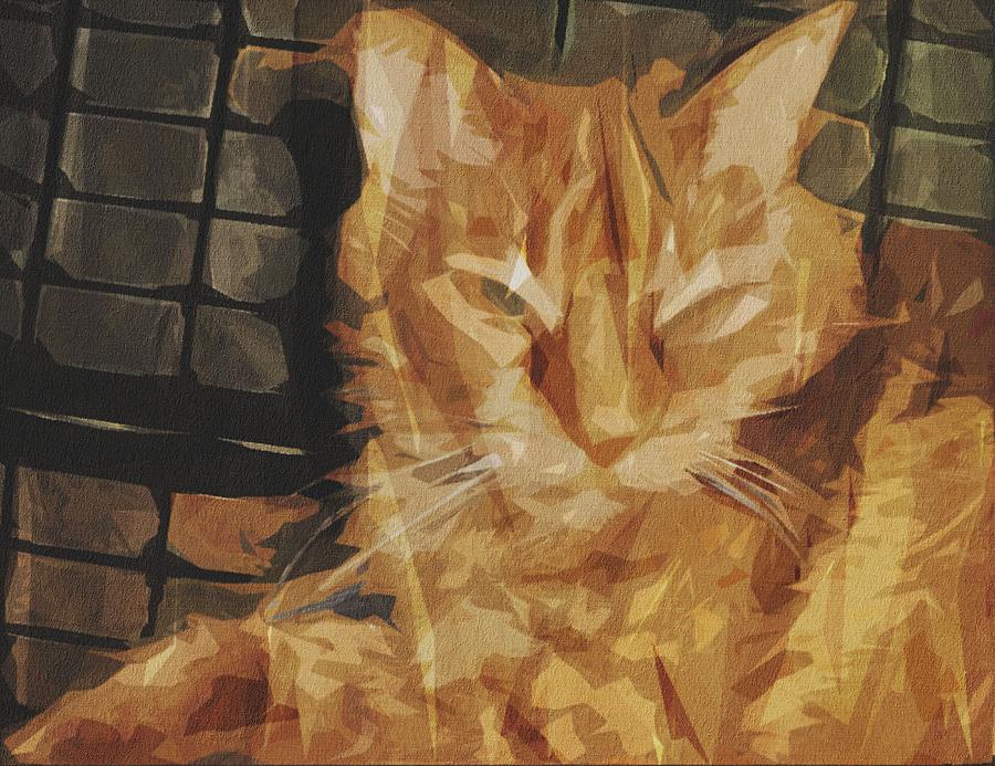 Ginger Domestic Short Haired Cat Digital Art By Draw Sly