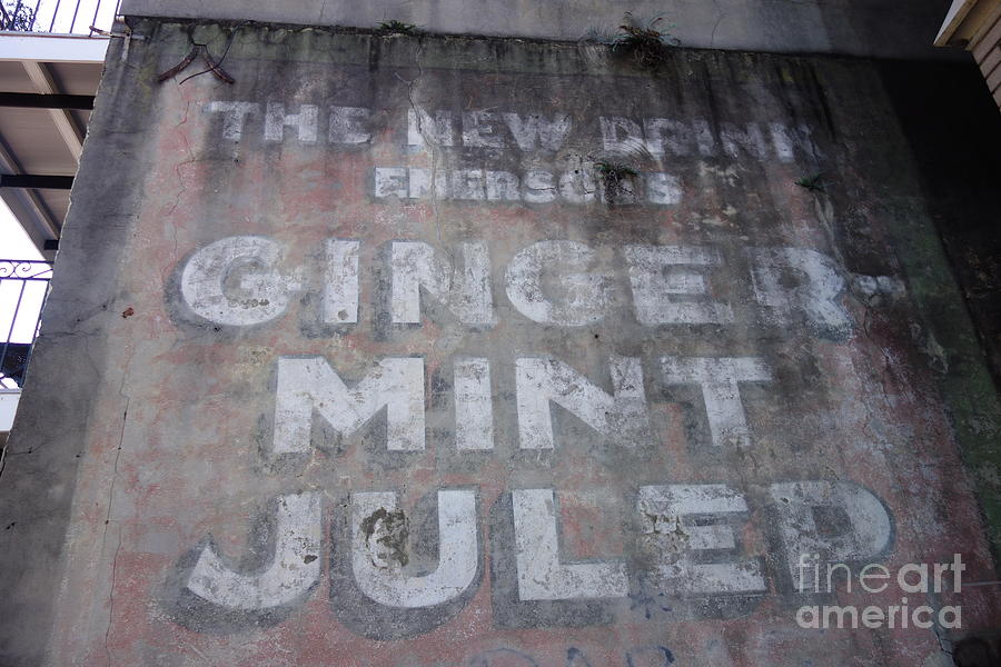 Ginger Mint Julep Sign  -  New Orleans Louisiana Photograph by Susan Carella