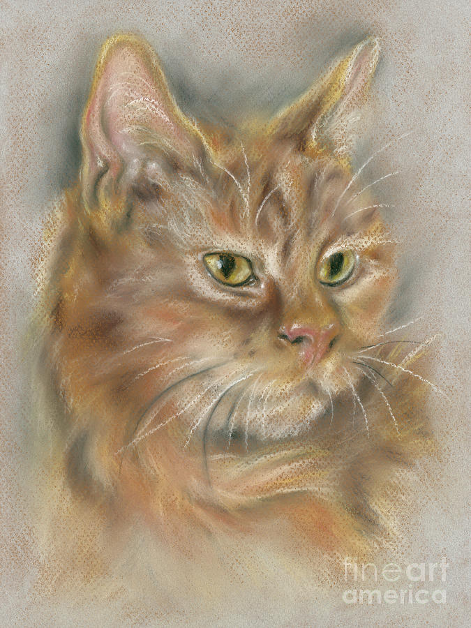 Ginger Tabby Cat with Black and White Whiskers Painting by MM Anderson