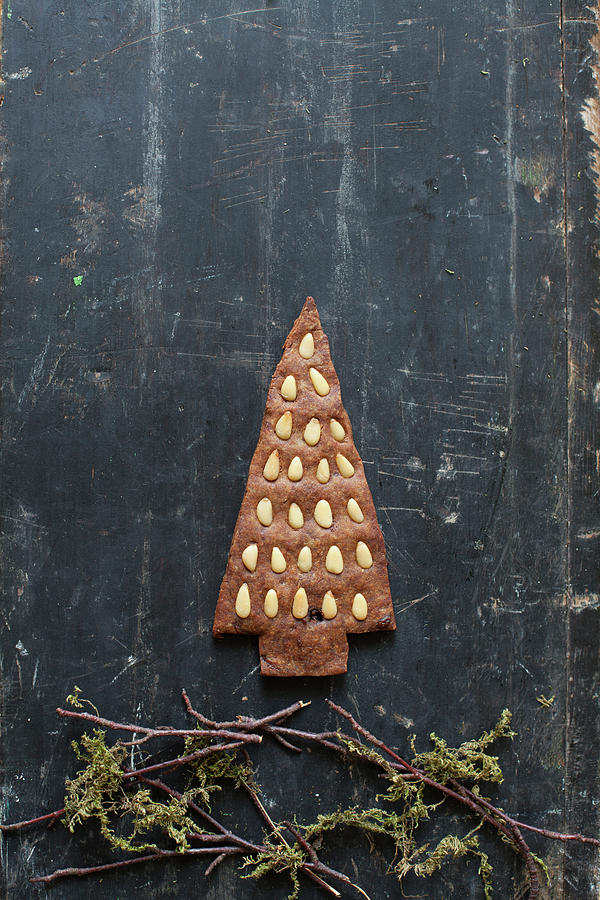 Gingerbread Christmas Tree Biscuits Decorated With Pine Nuts Photograph by Joan Ransley