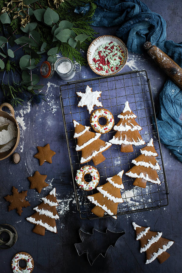 Gingerbread Cookies Photograph by Lucy Parissi