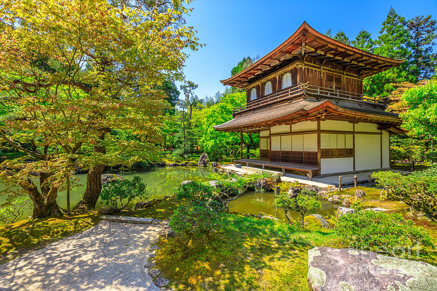 Ginkaku ji Temple Kannon Hall Photograph by Benny Marty