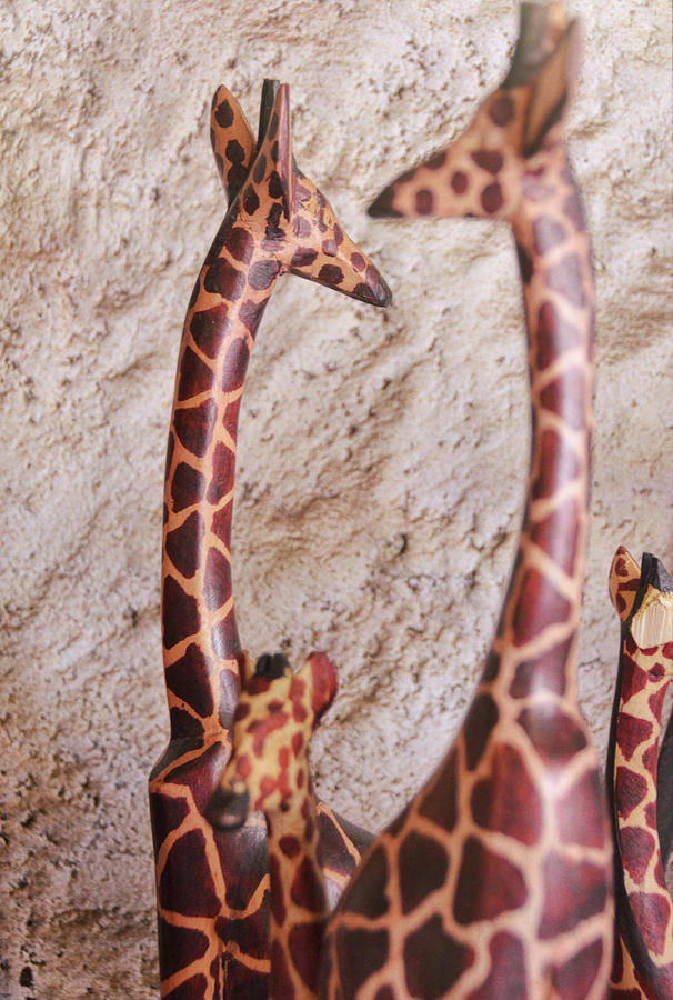 Giraffa Photograph by Jamart Photography