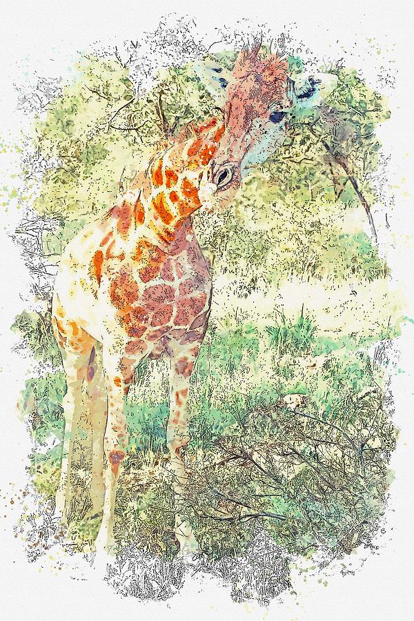 Giraffe 6 watercolor by Ahmet Asar Painting by Celestial Images
