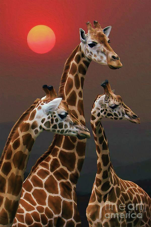 Giraffe 7hu Painting by Gull G