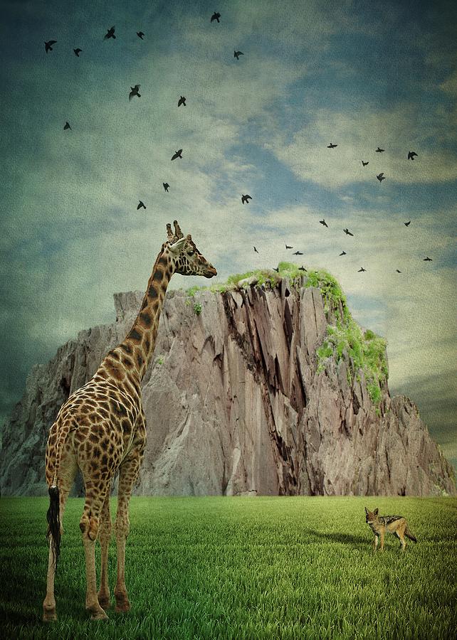 Animal Photograph - Giraffe And Jackal by Lucyna ?azarska