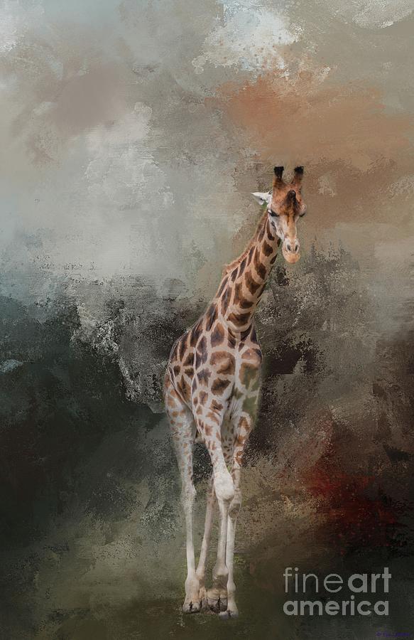 Giraffe Photograph by Eva Lechner