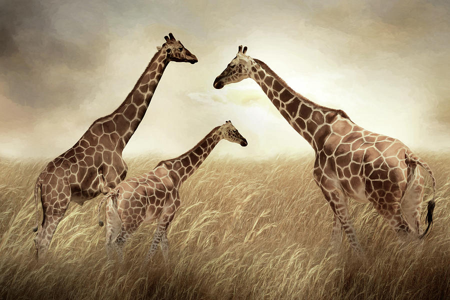 Giraffe Family Mixed Media by Lori Deiter