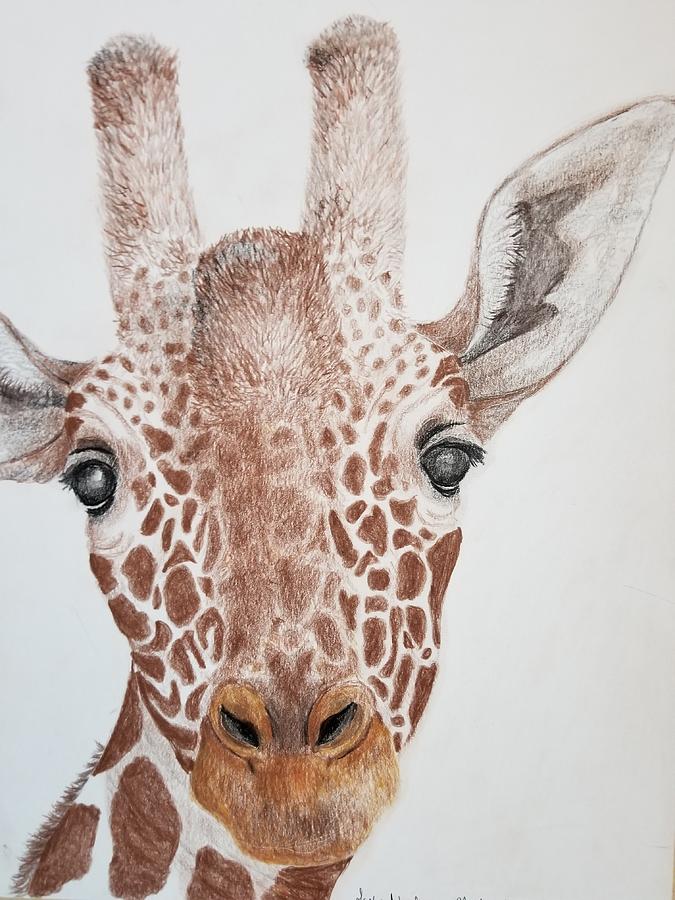 Giraffe by Lettie Neuhauser-MacLachlan Giraffe by Lettie Neuhauser-MacLachlan