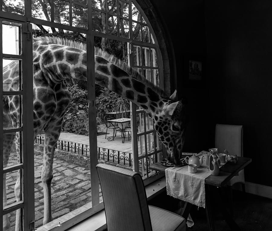 Giraffe Manor In Kenya Photograph by Jie  Fischer