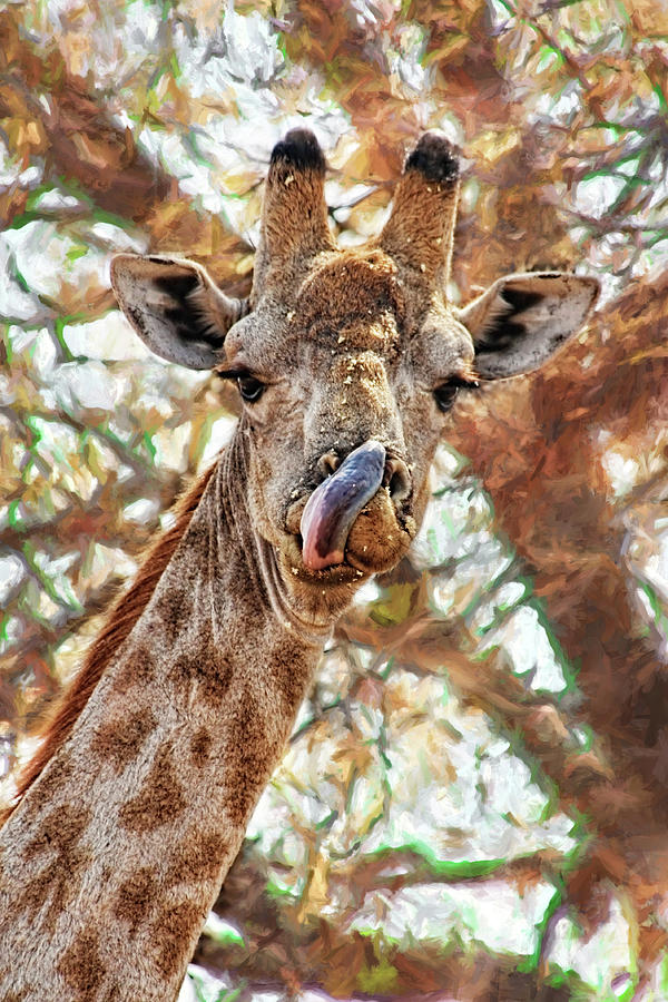 Nature Photograph - Giraffe Says YUM by Kay Brewer