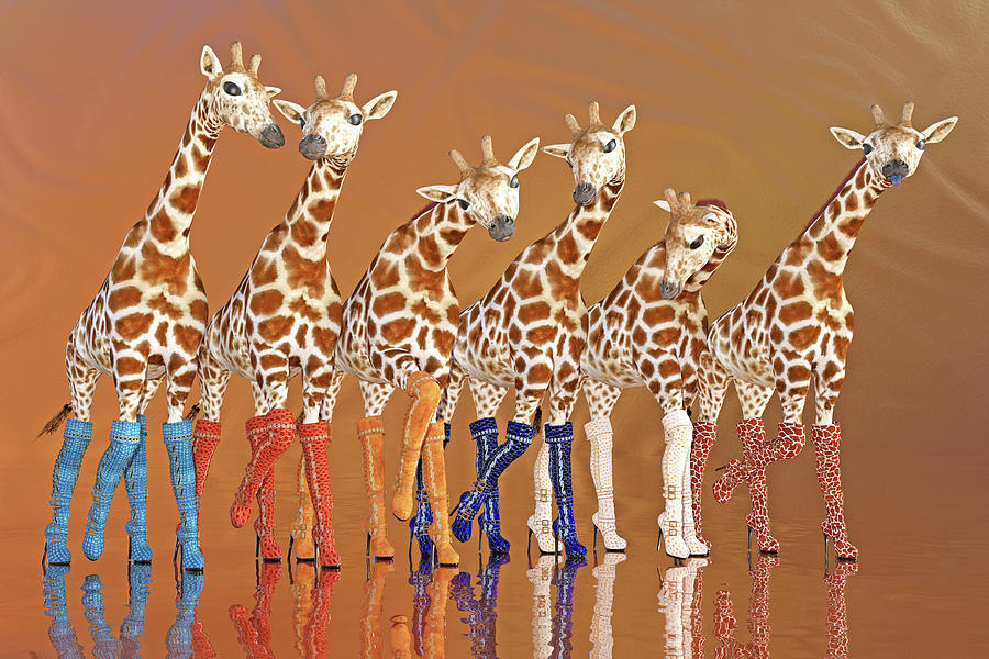 Giraffes Giving It The Boot Digital Art