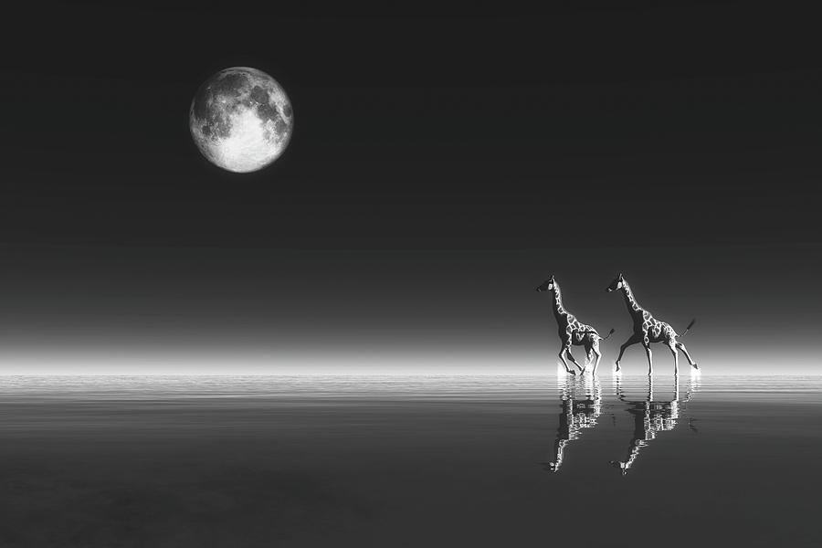 Giraffes Digital Art by Jan Keteleer