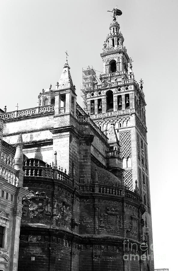 Giralda at the Cathedral of Seville Photograph by John Rizzuto