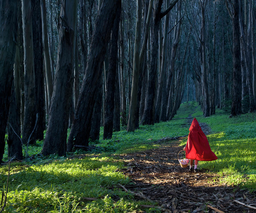 Girl 4-5 Dressed As Little Red Riding Photograph by John Lund