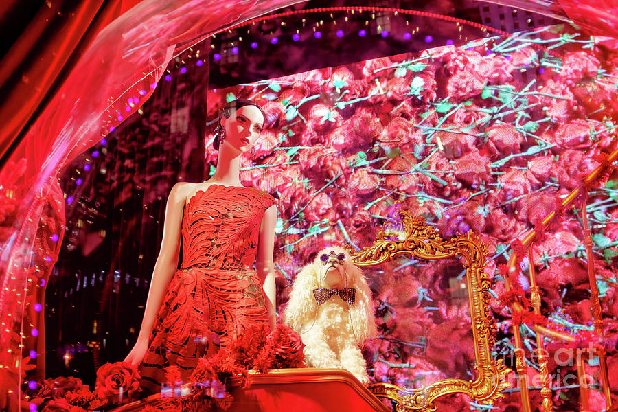 Girl and the Poodle at Saks Fifth Avenue in New York City Photograph by John Rizzuto