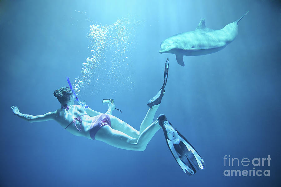 Girl Filming Dolphin Underwater Photograph by Stanislaw Pytel
