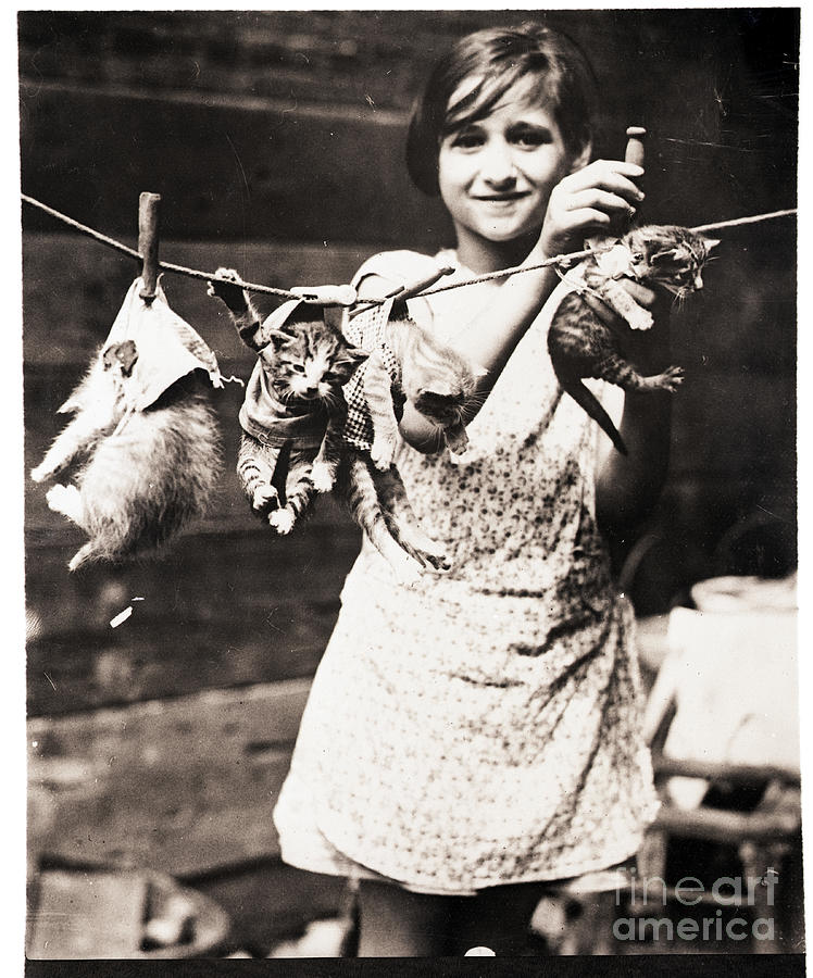 Girl Hanging Kittens On Clothesline Photograph by Bettmann