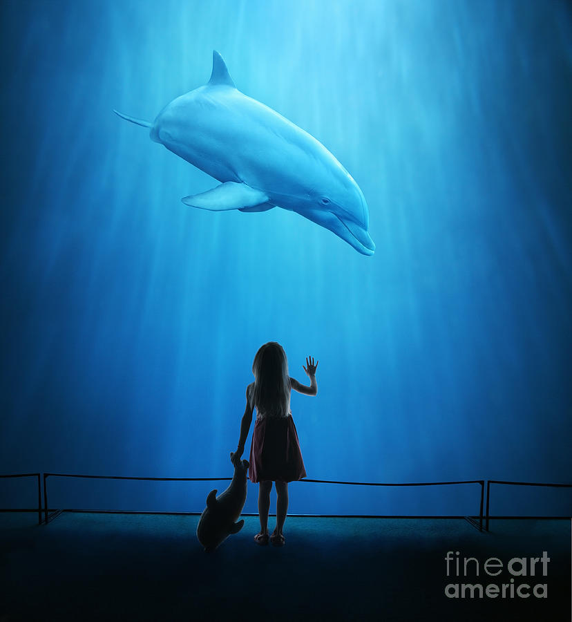 Girl In Aquarium Looking At Dolphin Photograph by Stanislaw Pytel