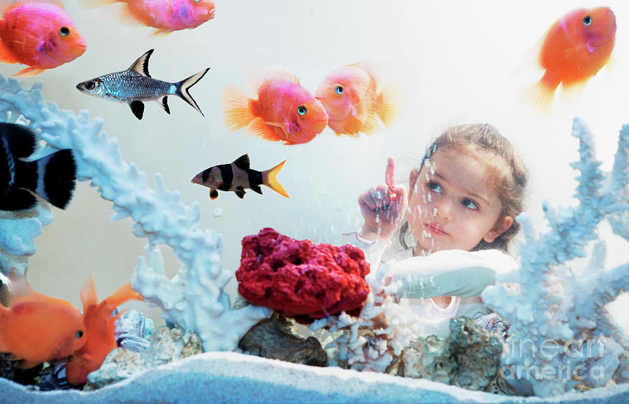 Girl Looking At Fish Tank Photograph by Science Photo Library Girl Looking At Fish Tank Photograph by Science Photo Library
