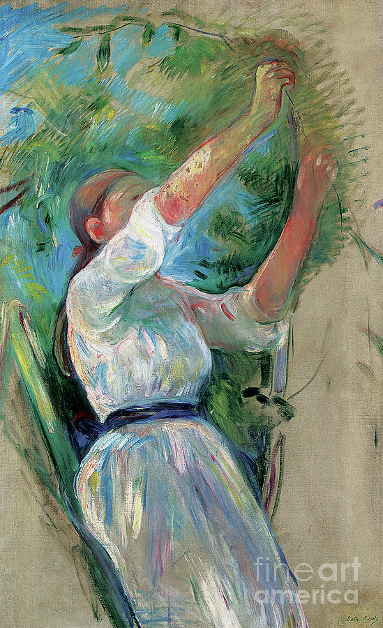 Girl picking cherries, 1891 Painting by Berthe Morisot