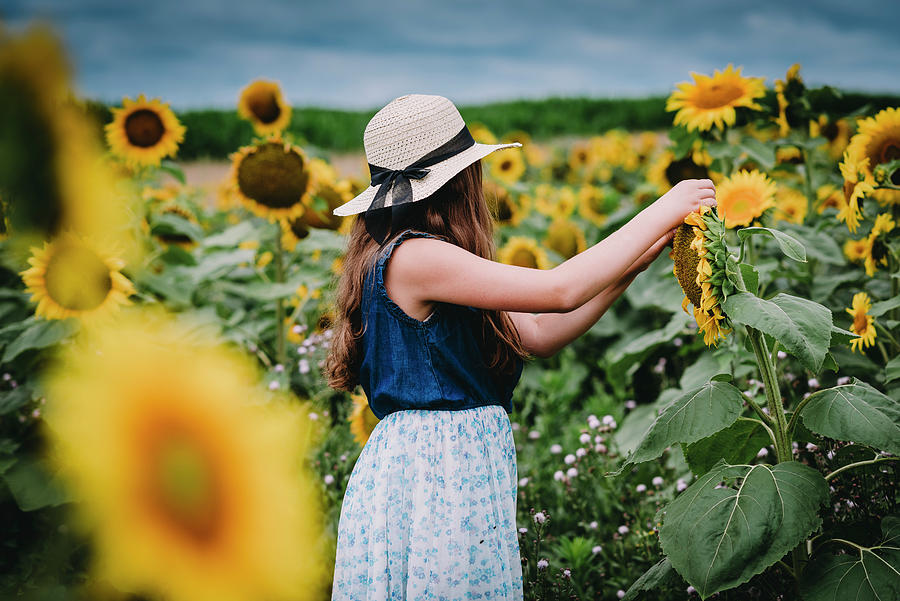 Girl Picking Sunflowers In A Field In Bryan, Ohio Photograph by Cavan ...