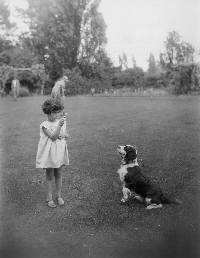 Girl Plays With Dog Photograph by Sasha