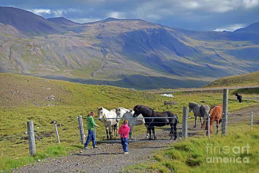 Girls with Icelandic Horses Photograph by Catherine Sherman