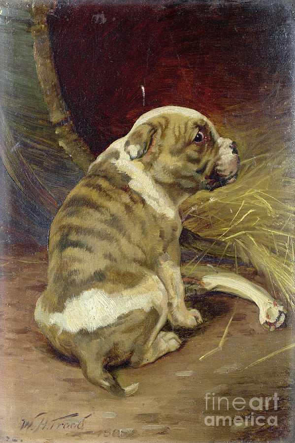 Dog Painting - Give A Dog A Bone, 1888 by William Henry Hamilton Trood