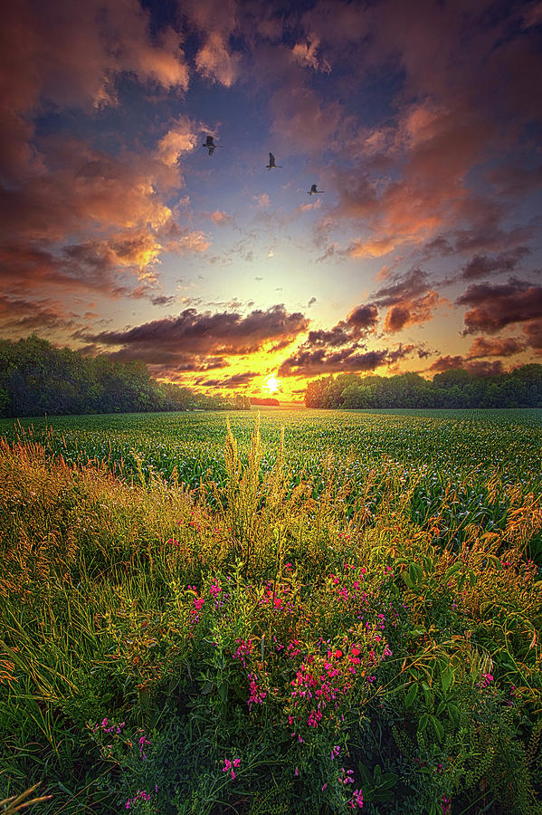 Give More Than You Take Photograph by Phil Koch