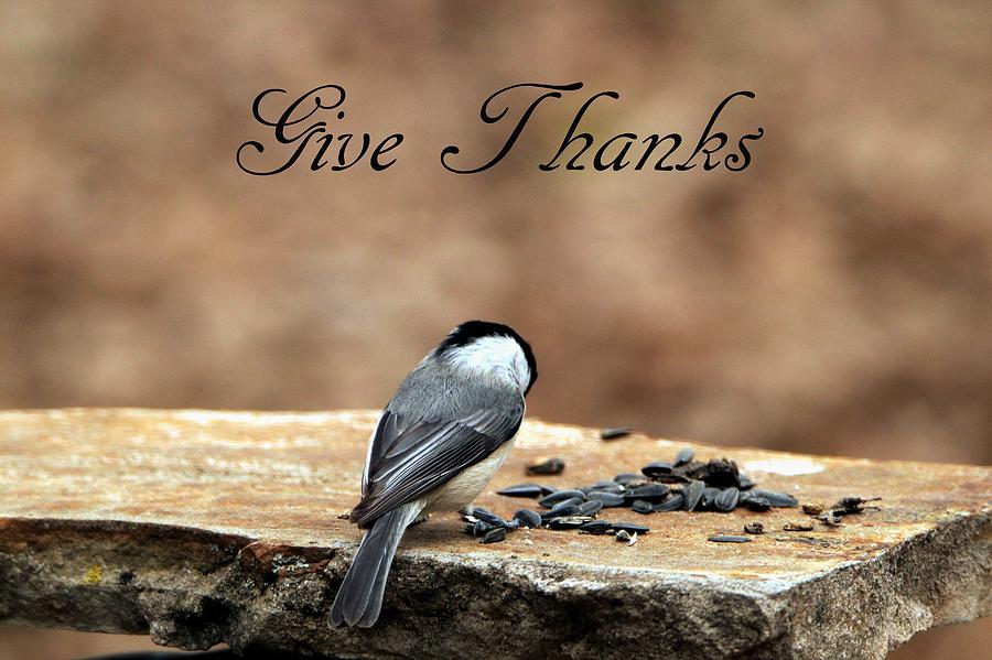 Give Thanks Photograph by Sheila Brown