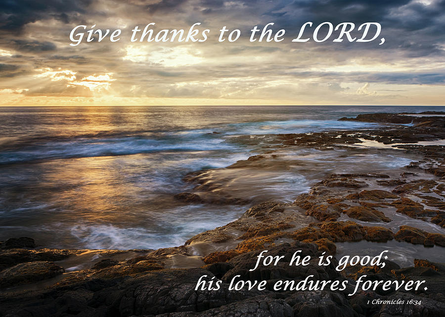 Give Thanks Photograph by Susan Rissi Tregoning