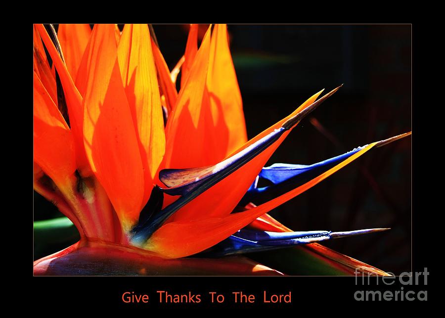 Give Thanks To The Lord Photograph by Patrick Dablow