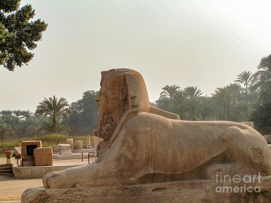 Giza City, Egypt j4 Photograph by Dr Guy Sion