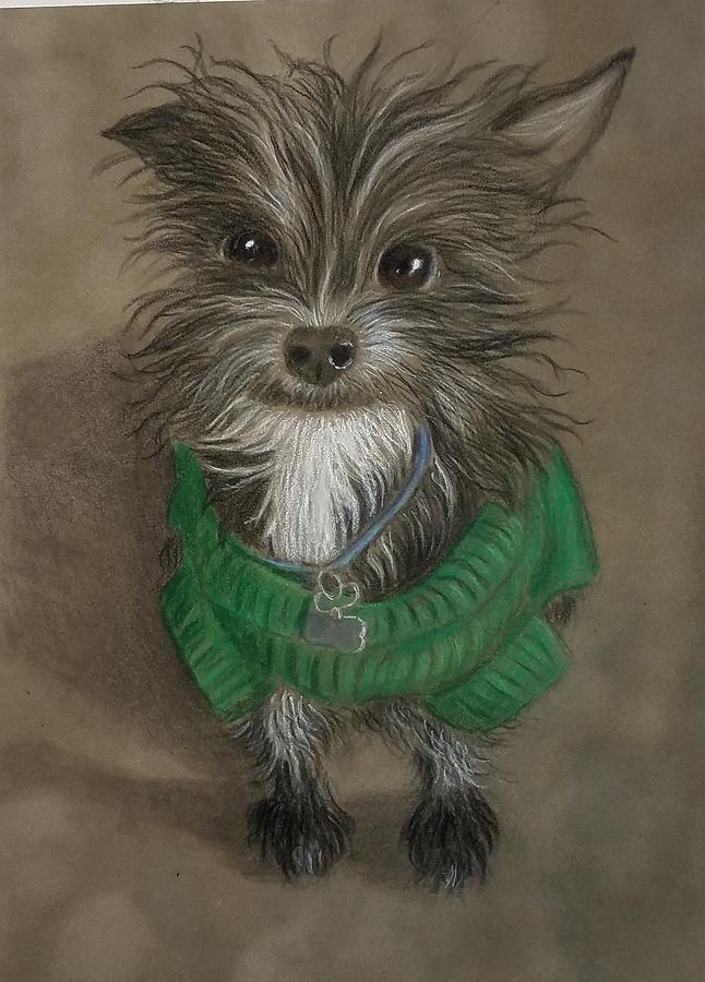 Gizmo Drawing by Lorraine Foster