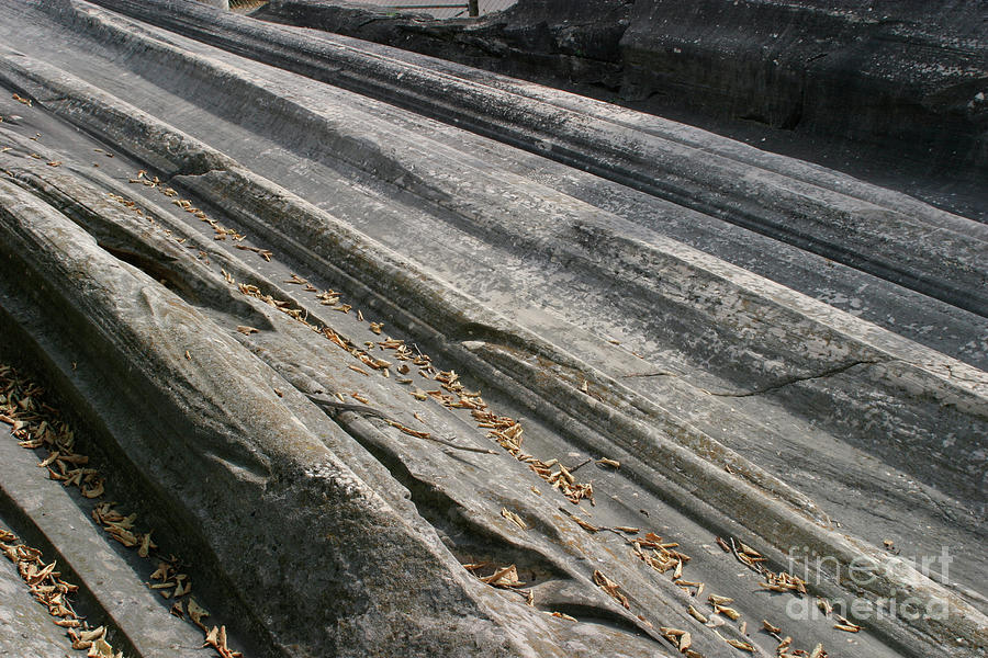 Glacial Groove Marks Photograph by Michael Szoenyi/science Photo Library