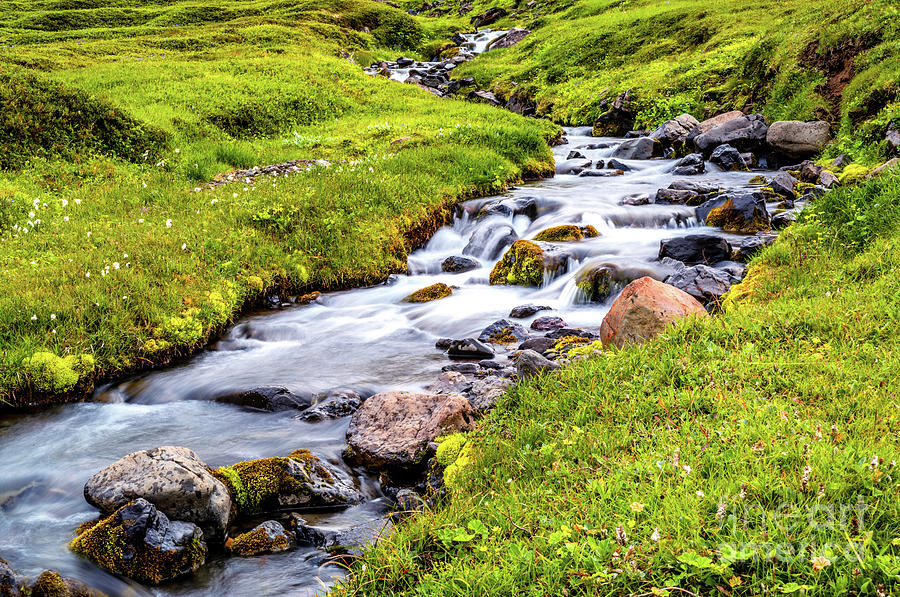 Glacial Stream by Miles Whittingham Glacial Stream by Miles Whittingham