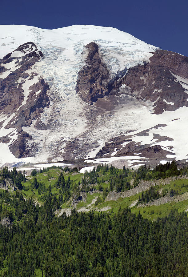 Glaciated summit of the mountain rises from forests Photograph by Steve Estvanik