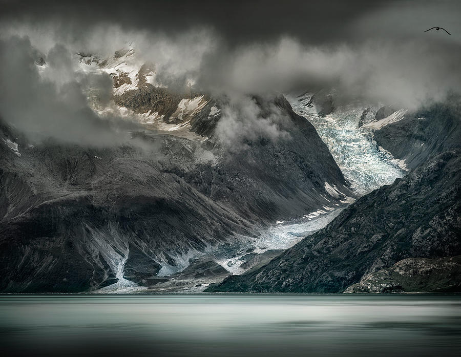 Winter Photograph - Glacier Bay by Ignacio Palacios