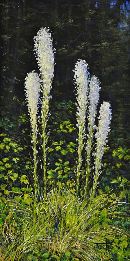 Glacier Beargrass Painting by Lee Tisch Bialczak - Fine Art America