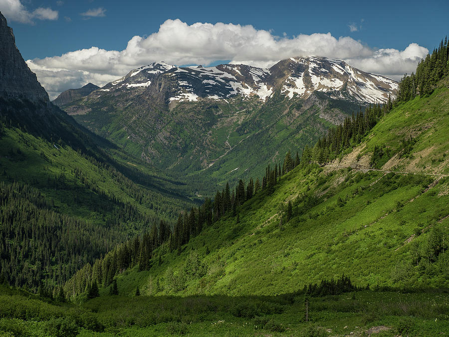 Glacier High Country Photograph by Greg Nyquist