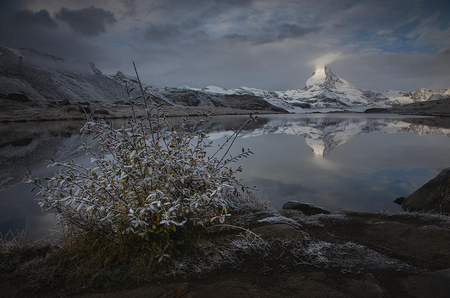 Glacier Photograph by Lazar Ioan Ovidiu