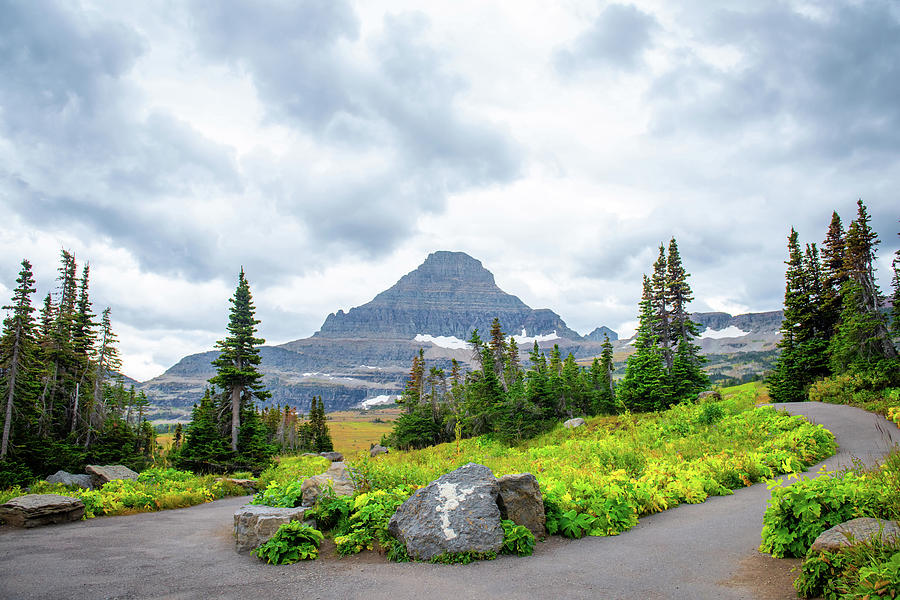 Glacier National Park.   Photograph by Aileen Savage