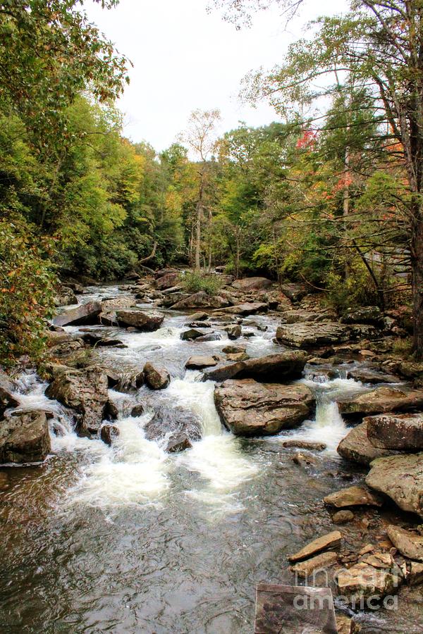 Glade Creek Wv Photograph by Terry McCarrick